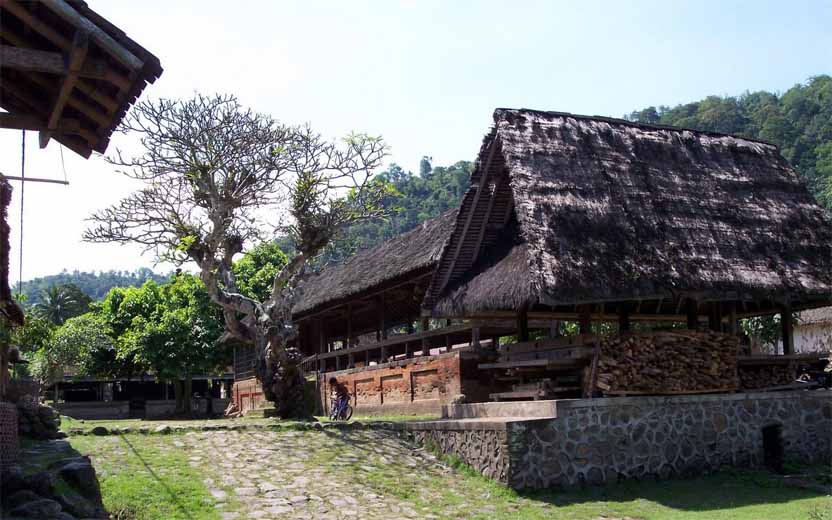 Original Balinese in Tenganan Village