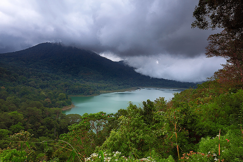 The smalest of Bali's lakes, Lake Tamblingan is on the western side of <a href="http://www.flickr.com/photos/tropicaliving/4100637328/">Buyan Lake</a> (known as <a href="http://www.flickr.com/photos/tropicaliving/4007698102/">Twin Lakes</a>), separated by only few hundreds meter of green forest. There is no modern facility, only several traditional bungalows and restaurants.The lake is located about 5 km Munduk village. Its size about 115 Ha, depth 24 m, the capacity to store water is about 27 million cubic meters from the catching rainfall forest of 4670 Ha, is an appeal for nature lovers. Lake Tamblingan has three main functions: 1. As a source of water 2. As a religious center 3. As an ecological sanctuary The area contains a wide diversity of flora and fauna and up until now their natural resources have not been impaired by the activities of human being so that the ecological balance has been maintained and the solid biosphere has existed. However this balance is a fragile one could very easily be disrupted by activities such as tourism.