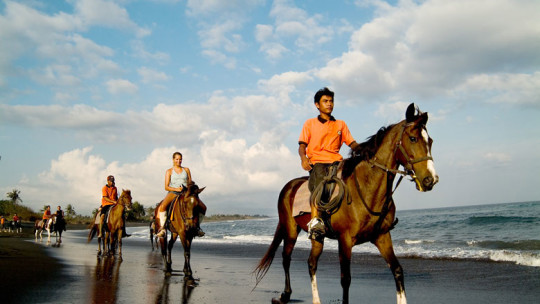 Bali Horse Riding 