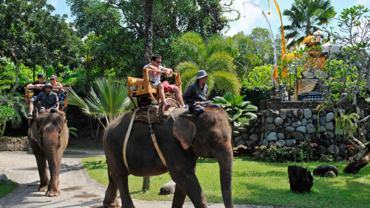 Adventure in Bali Zoo Park