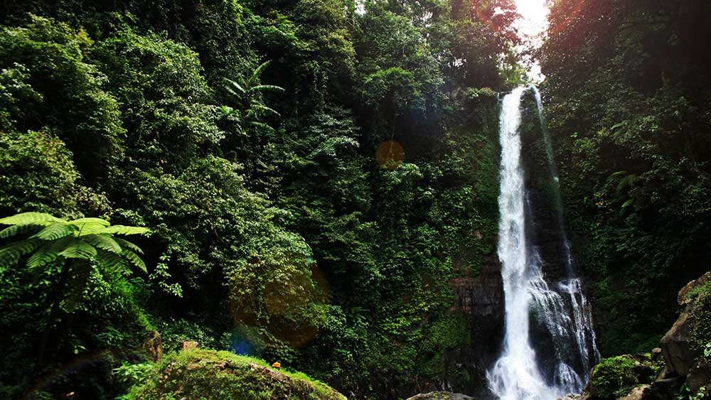 Taking Waterfall Tour to Gitgit Waterfall | Segarebalitour.com