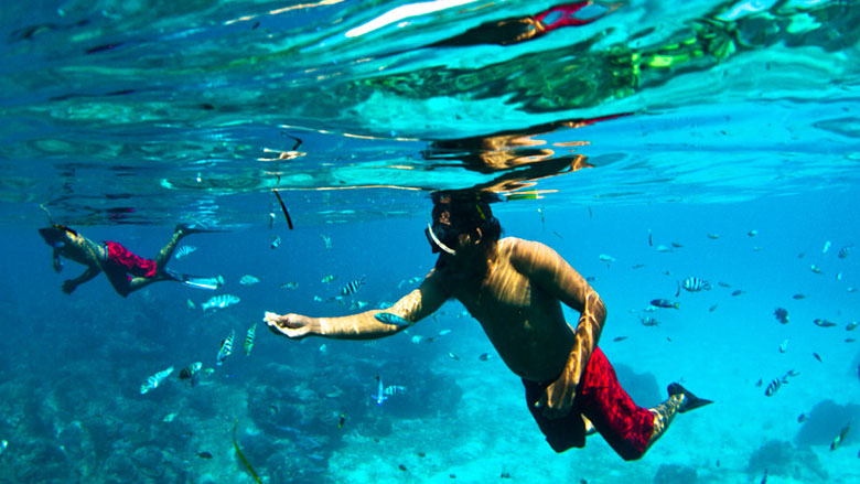 Bali Snorkeling Tour | Segarebalitour.com